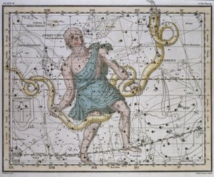 Ophiuchus lub Serpentarius, z „Atlasu Niebiańskiego”, wyd. w 1822